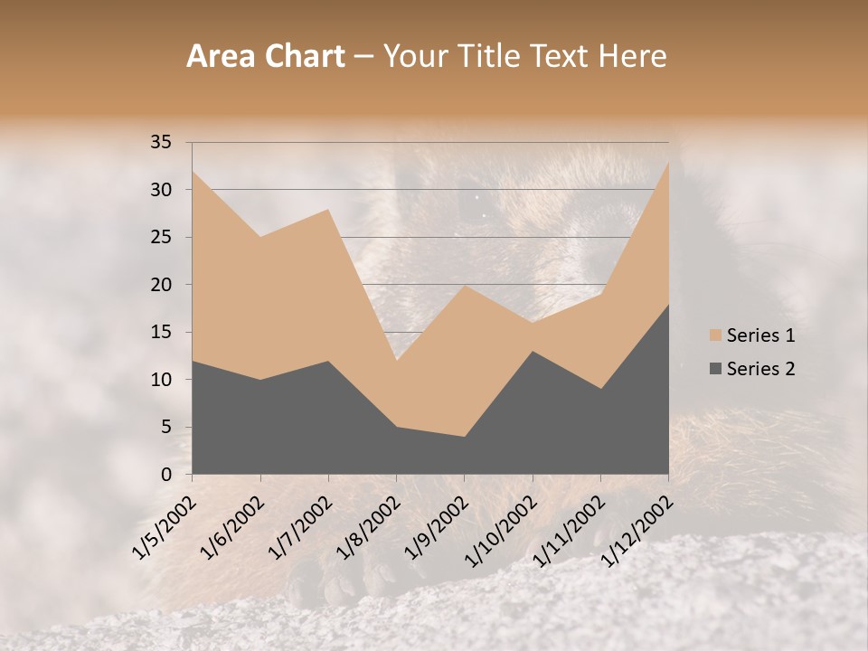 Sierra Nevada Marmot Looking PowerPoint Template