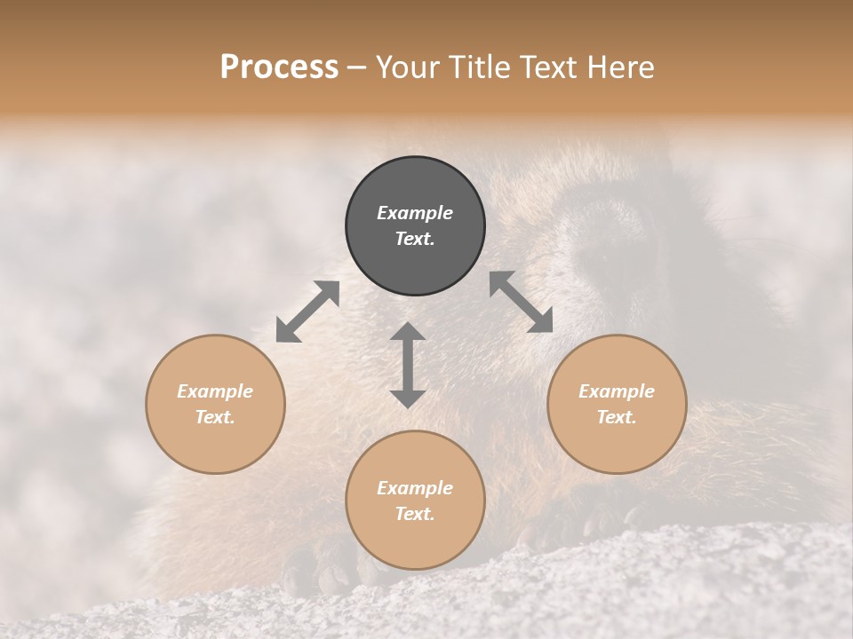 Sierra Nevada Marmot Looking PowerPoint Template