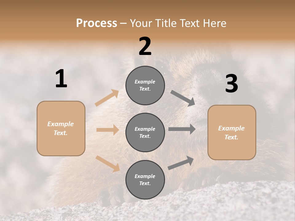 Sierra Nevada Marmot Looking PowerPoint Template