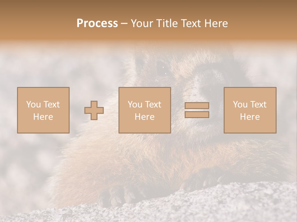 Sierra Nevada Marmot Looking PowerPoint Template