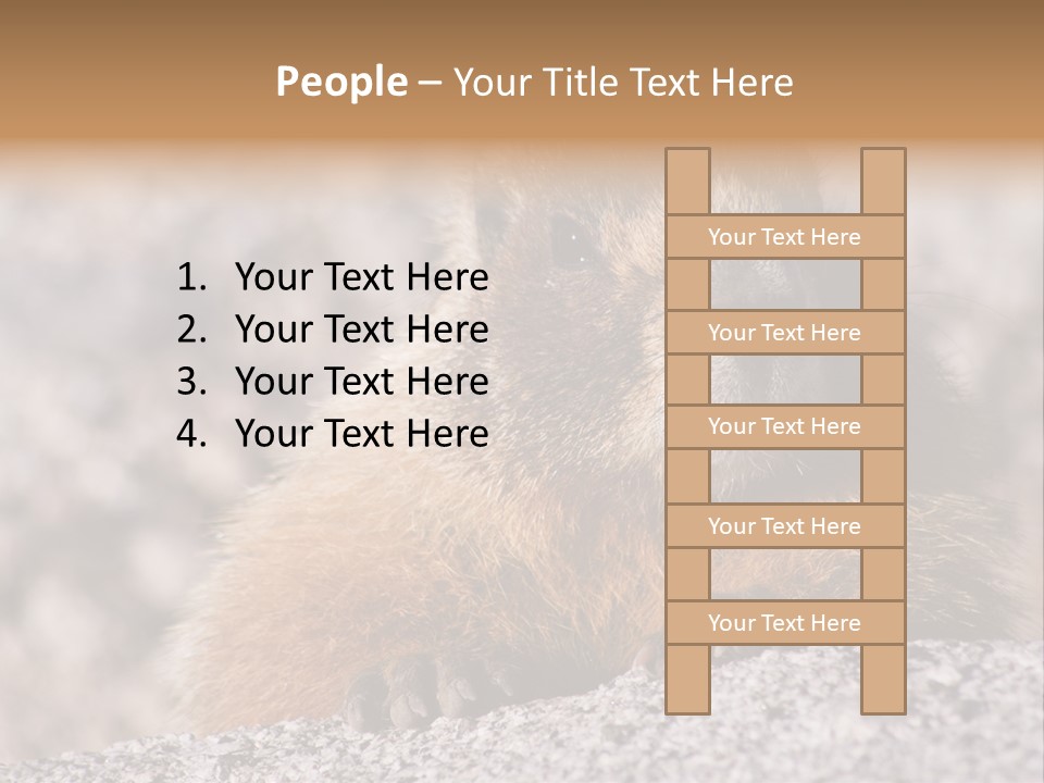 Sierra Nevada Marmot Looking PowerPoint Template