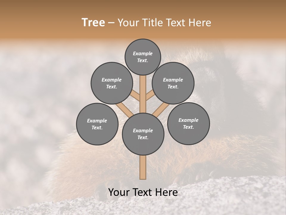 Sierra Nevada Marmot Looking PowerPoint Template