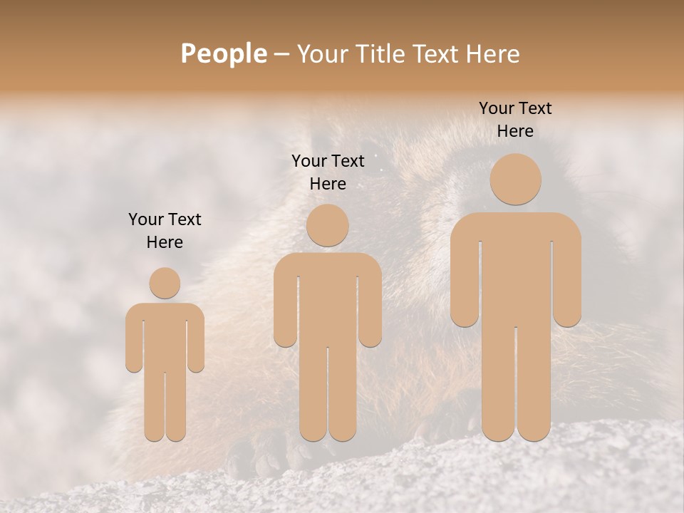 Sierra Nevada Marmot Looking PowerPoint Template