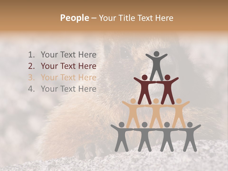 Sierra Nevada Marmot Looking PowerPoint Template