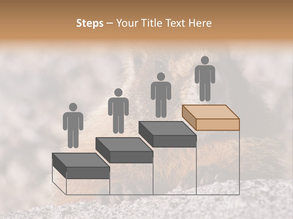 Sierra Nevada Marmot Looking PowerPoint Template