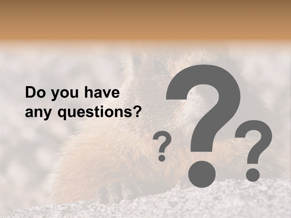 Sierra Nevada Marmot Looking PowerPoint Template