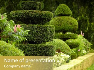 Summer Classical French PowerPoint Template
