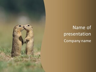 Stand Rodent Sweet PowerPoint Template