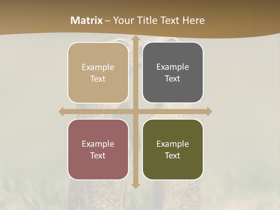 Stand Rodent Sweet PowerPoint Template