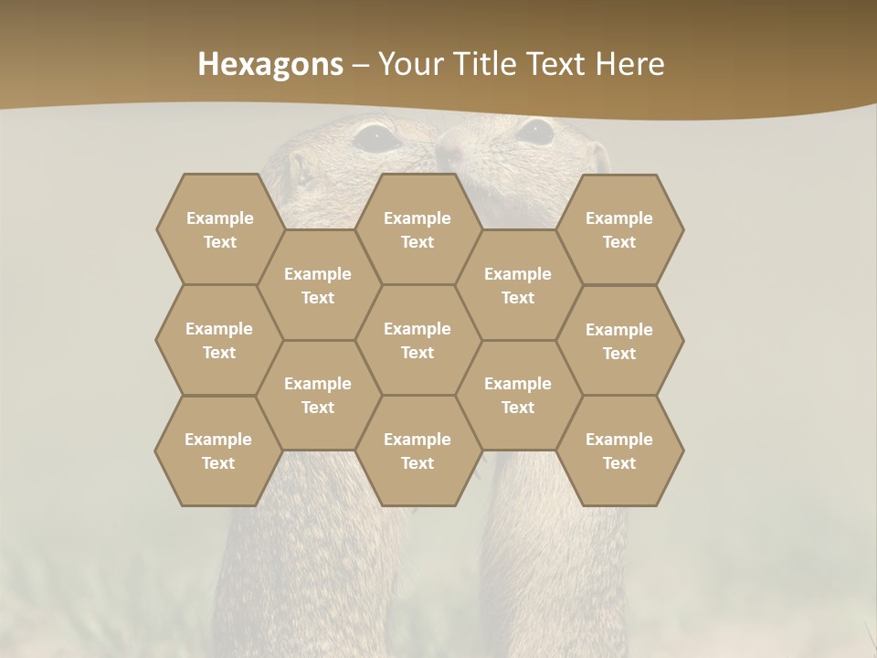 Stand Rodent Sweet PowerPoint Template