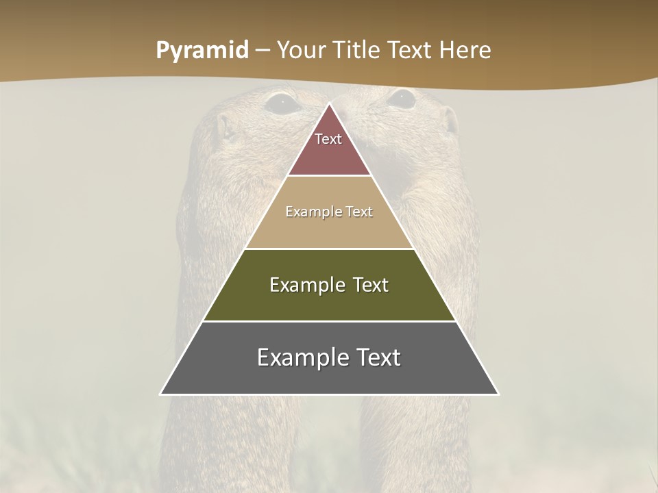 Stand Rodent Sweet PowerPoint Template