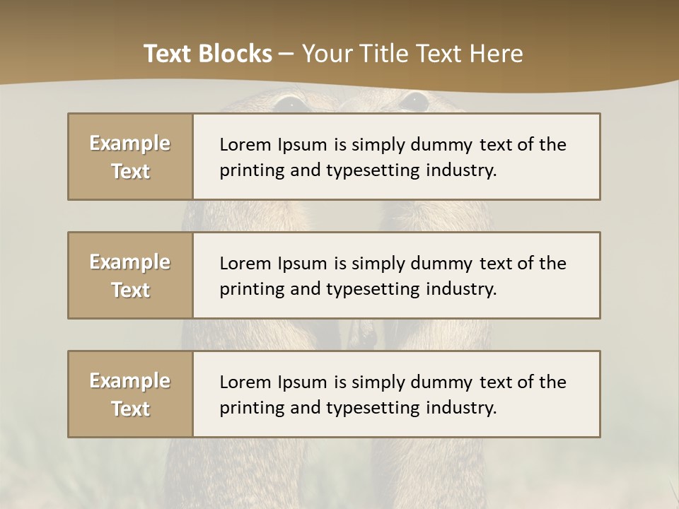 Stand Rodent Sweet PowerPoint Template
