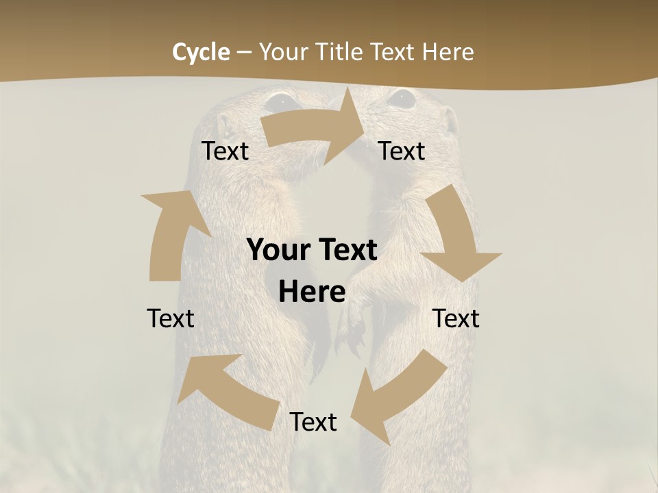 Stand Rodent Sweet PowerPoint Template