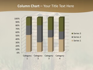 Stand Rodent Sweet PowerPoint Template