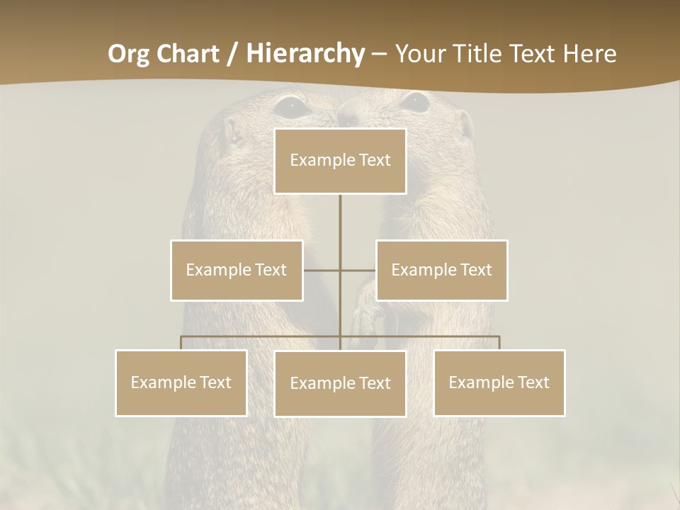 Stand Rodent Sweet PowerPoint Template