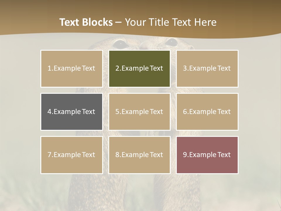 Stand Rodent Sweet PowerPoint Template