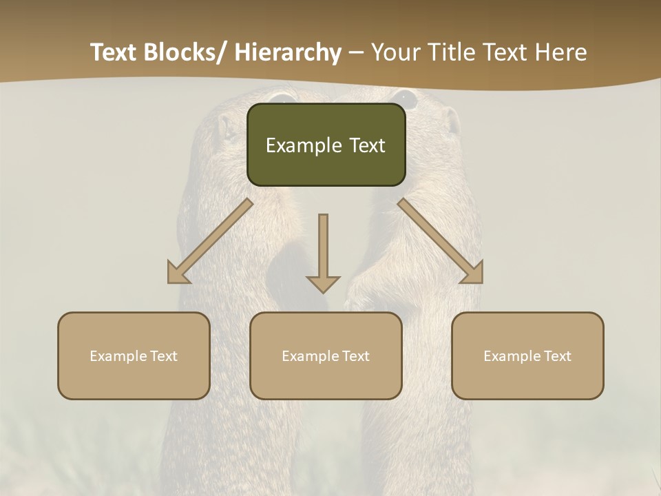 Stand Rodent Sweet PowerPoint Template