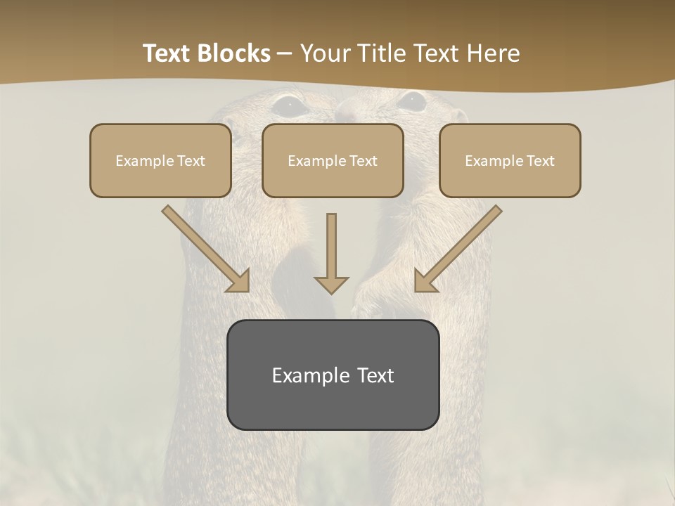 Stand Rodent Sweet PowerPoint Template