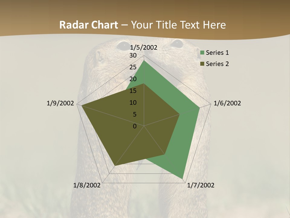Stand Rodent Sweet PowerPoint Template