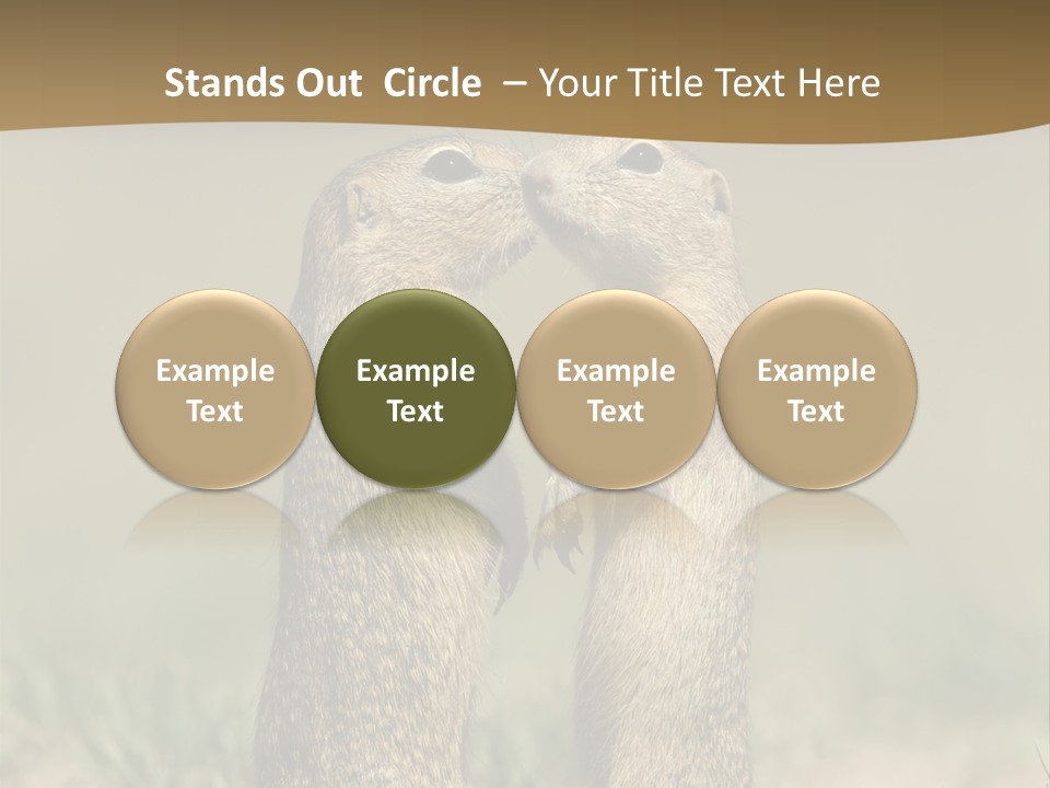 Stand Rodent Sweet PowerPoint Template