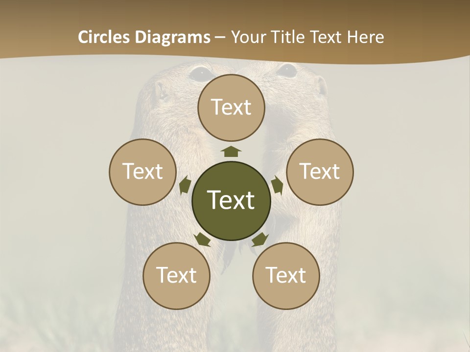 Stand Rodent Sweet PowerPoint Template