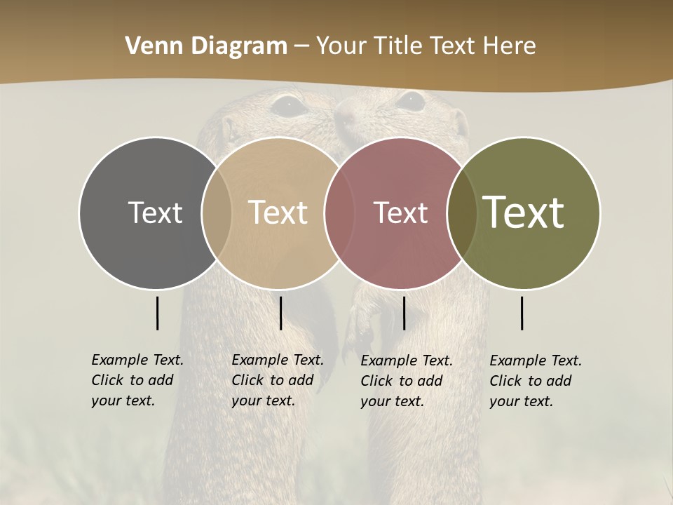 Stand Rodent Sweet PowerPoint Template