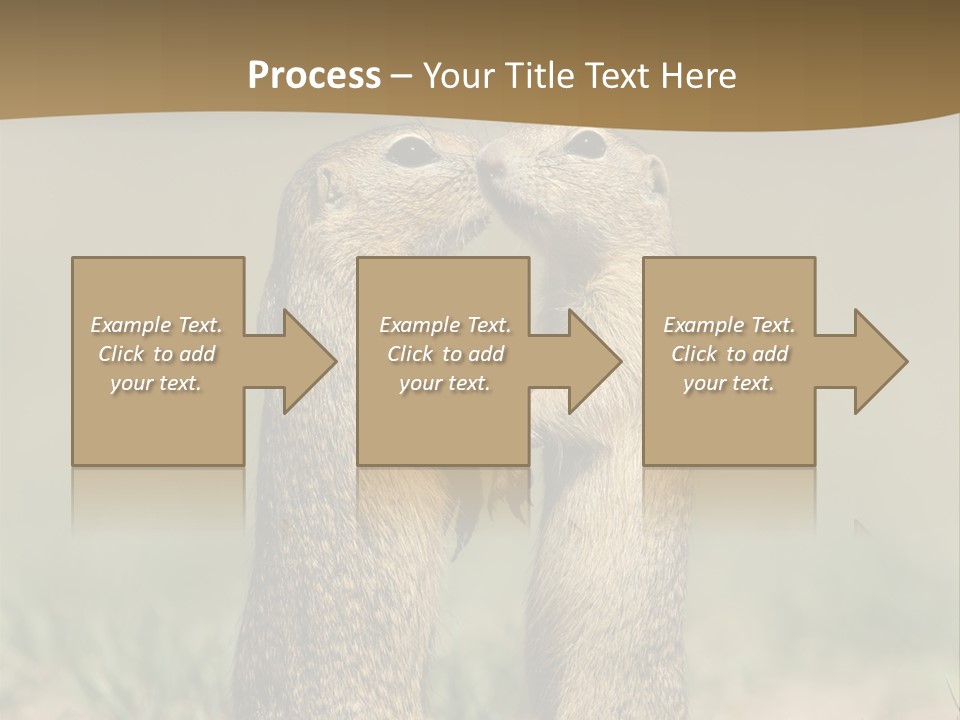 Stand Rodent Sweet PowerPoint Template