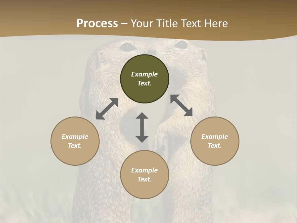 Stand Rodent Sweet PowerPoint Template