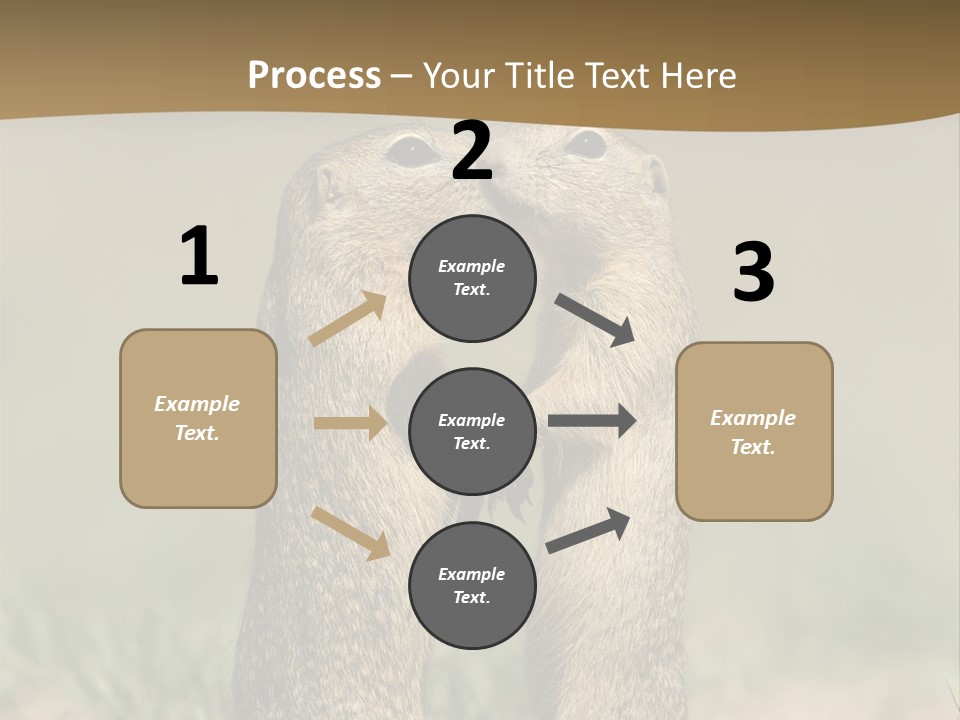 Stand Rodent Sweet PowerPoint Template