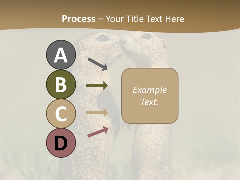 Stand Rodent Sweet PowerPoint Template