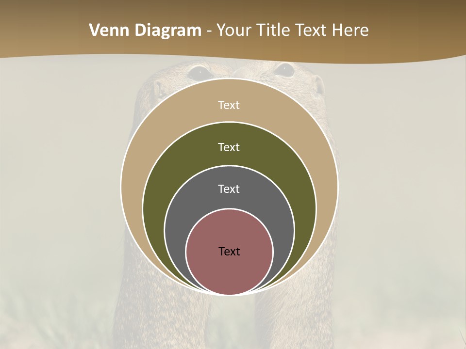 Stand Rodent Sweet PowerPoint Template