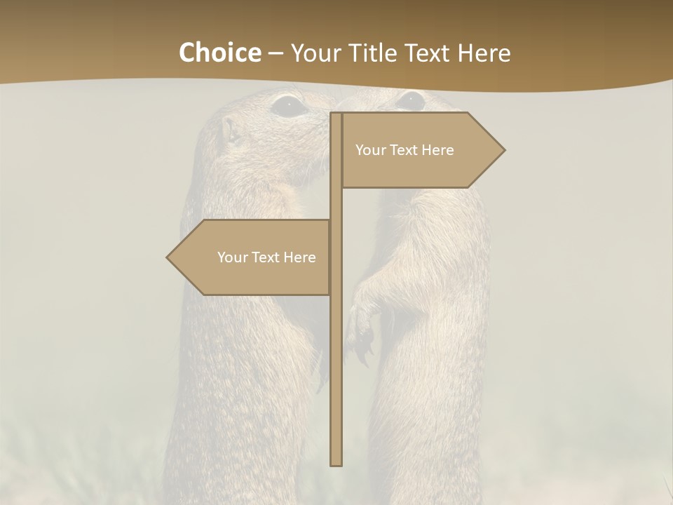 Stand Rodent Sweet PowerPoint Template