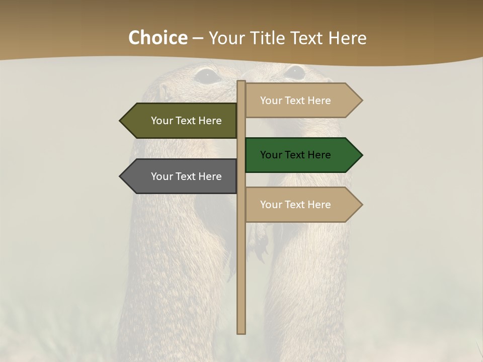 Stand Rodent Sweet PowerPoint Template