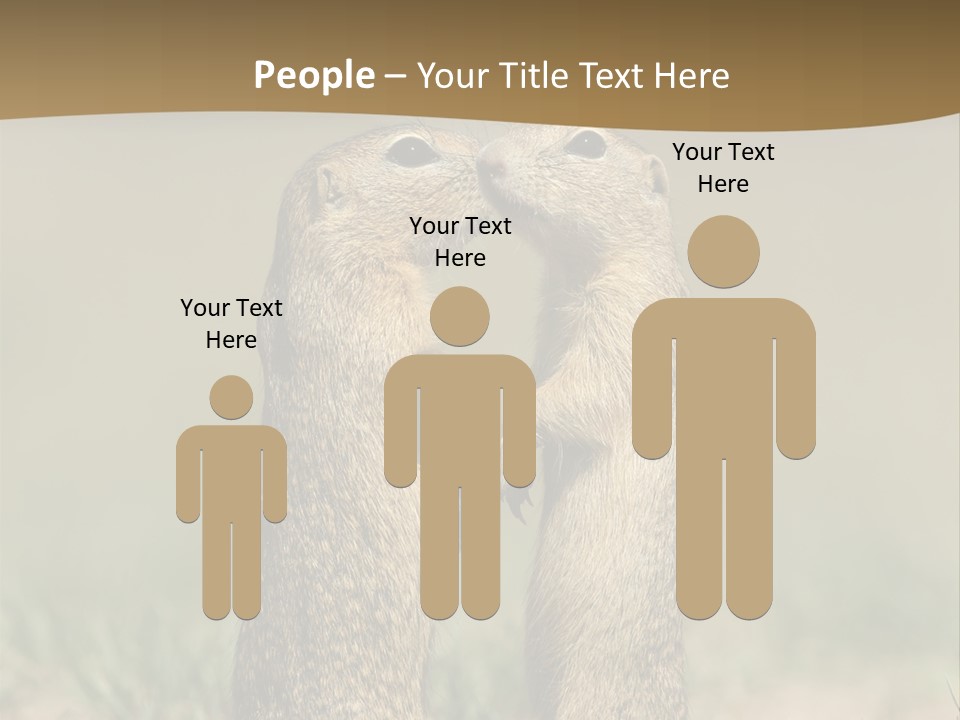 Stand Rodent Sweet PowerPoint Template