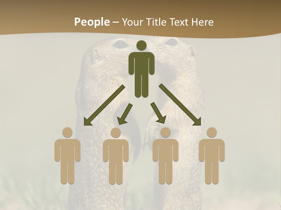 Stand Rodent Sweet PowerPoint Template