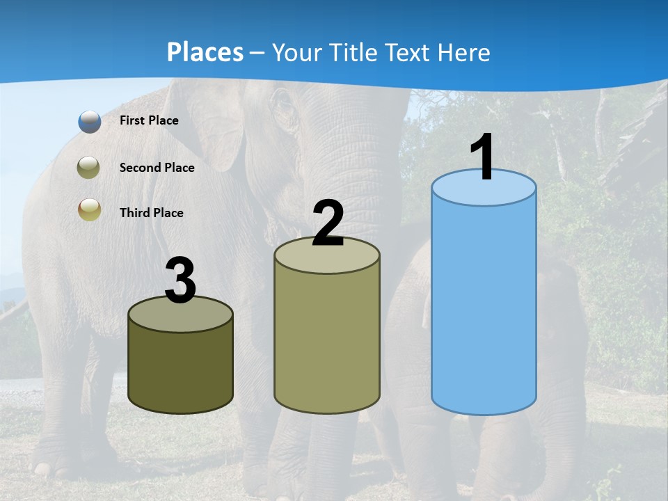 Trunk Travel Portrait PowerPoint Template