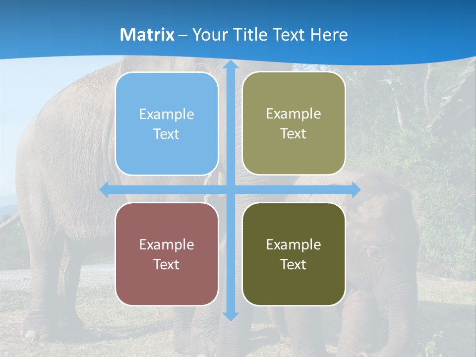 Trunk Travel Portrait PowerPoint Template