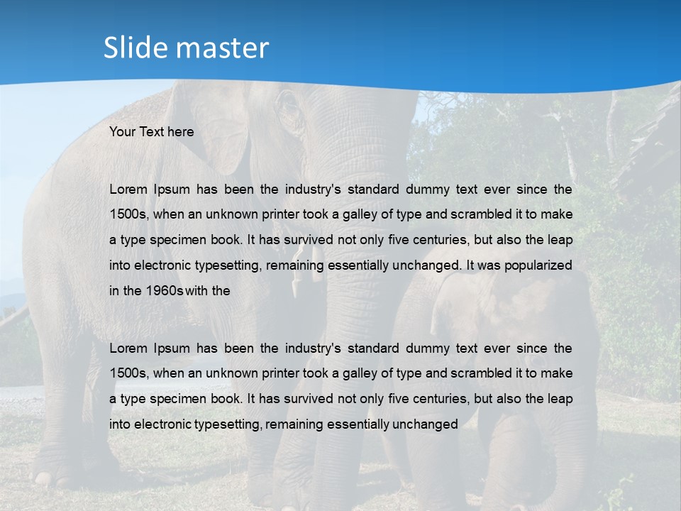 Trunk Travel Portrait PowerPoint Template