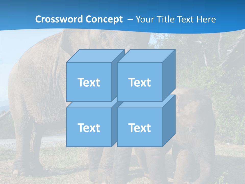 Trunk Travel Portrait PowerPoint Template