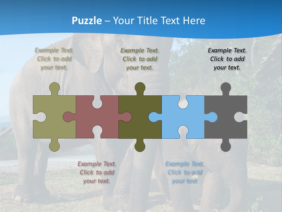 Trunk Travel Portrait PowerPoint Template