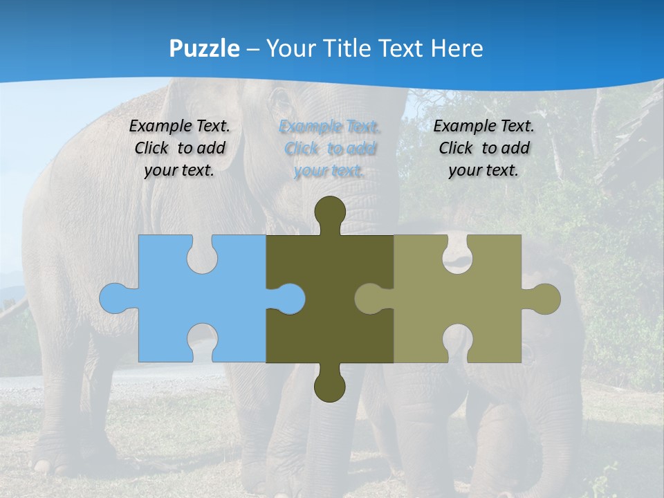 Trunk Travel Portrait PowerPoint Template