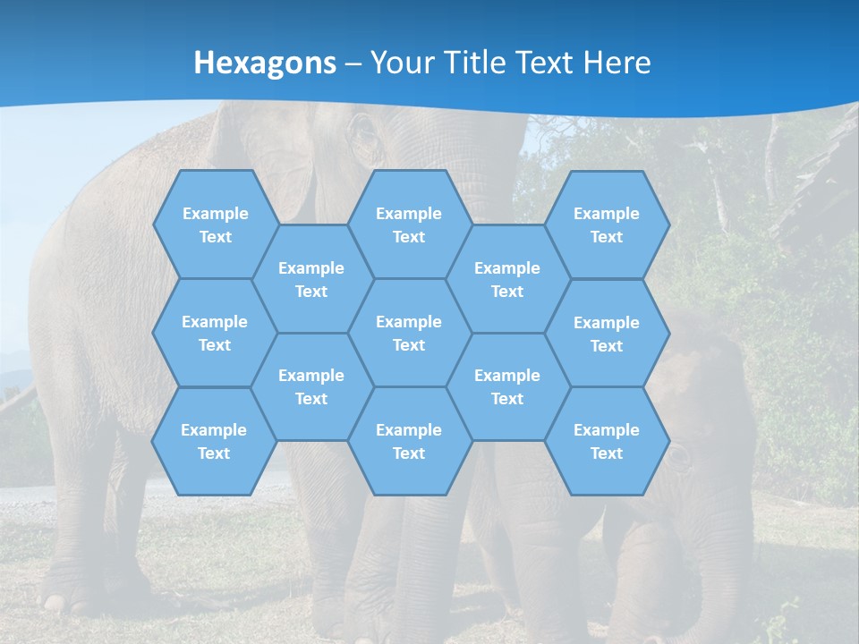 Trunk Travel Portrait PowerPoint Template