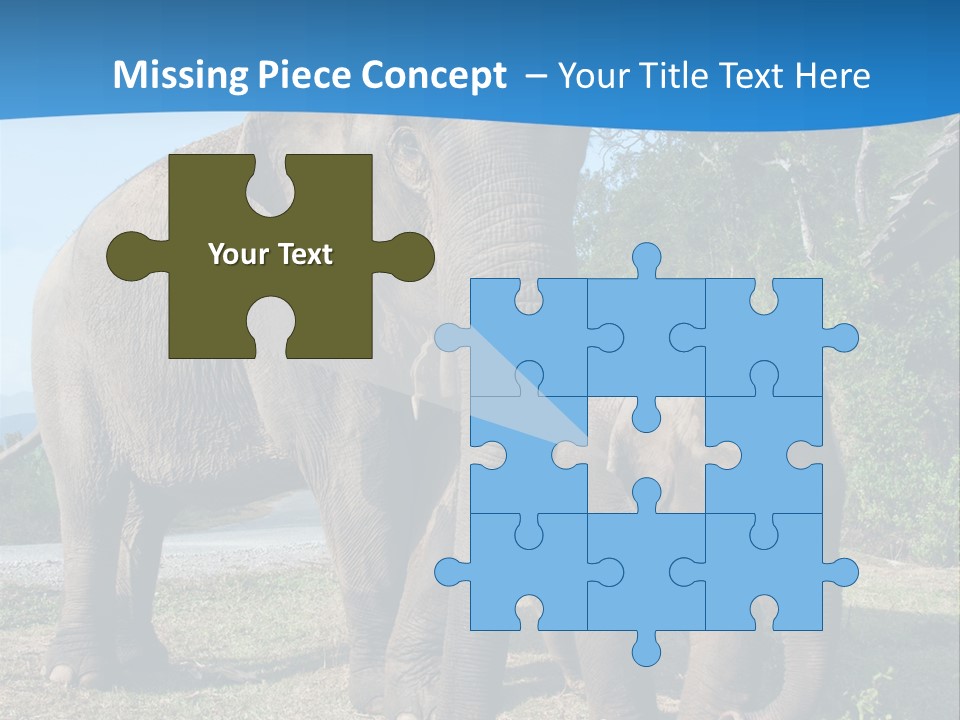 Trunk Travel Portrait PowerPoint Template