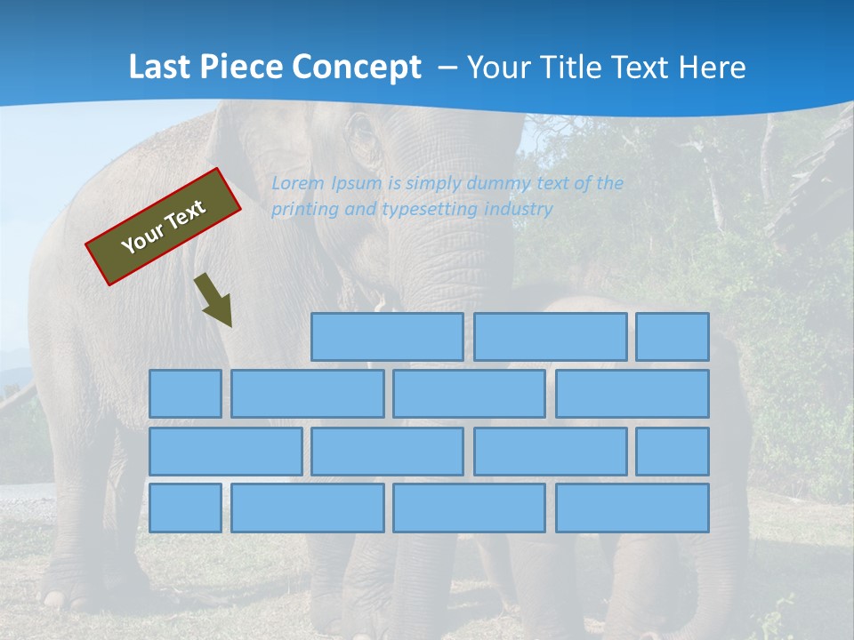 Trunk Travel Portrait PowerPoint Template