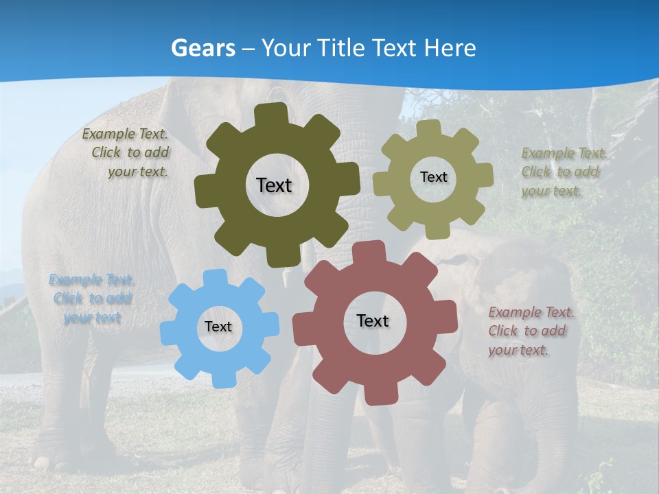 Trunk Travel Portrait PowerPoint Template