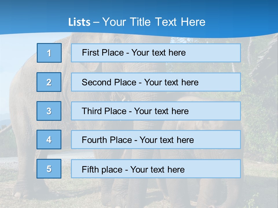 Trunk Travel Portrait PowerPoint Template