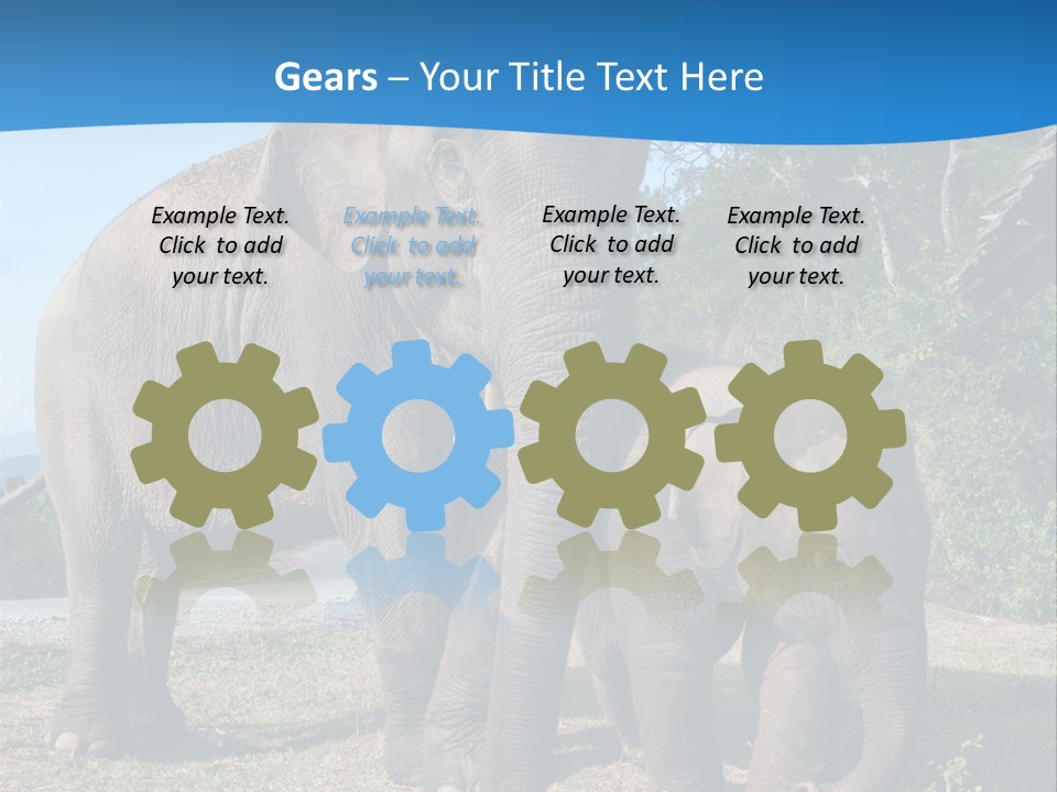 Trunk Travel Portrait PowerPoint Template