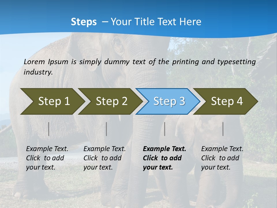 Trunk Travel Portrait PowerPoint Template