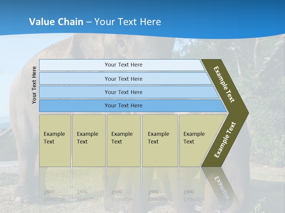 Trunk Travel Portrait PowerPoint Template