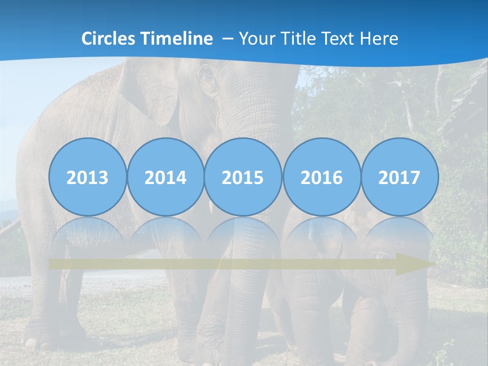 Trunk Travel Portrait PowerPoint Template